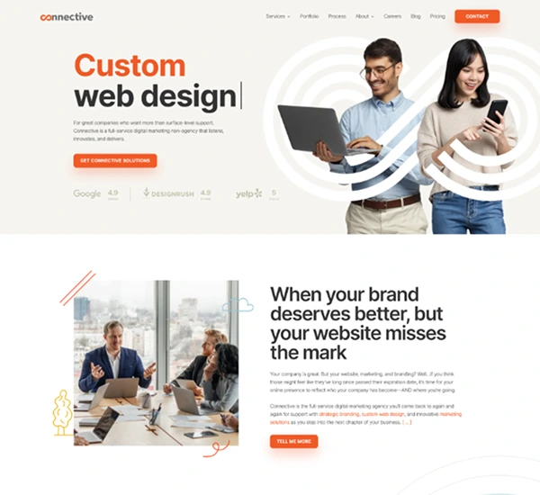 connective web design snap shot